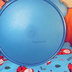 Blue tupperware bowl